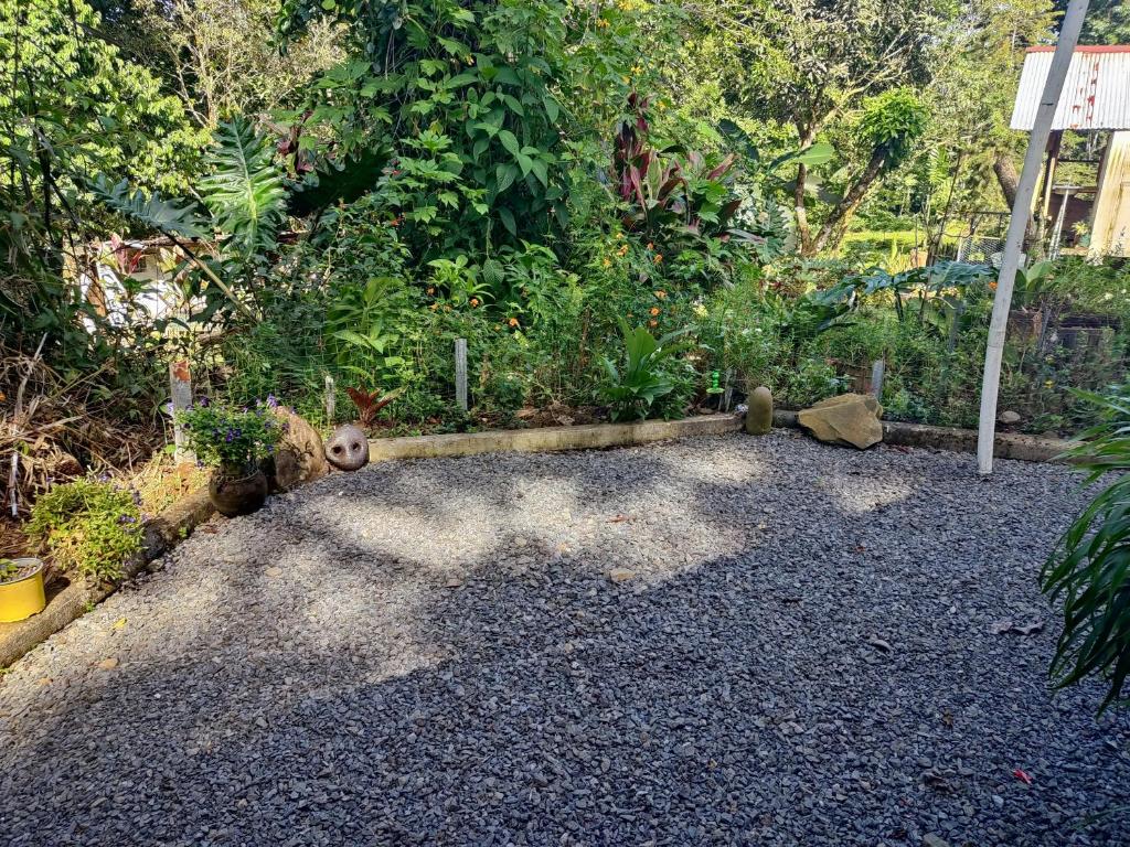 Zahrada ubytování Villa Campo's