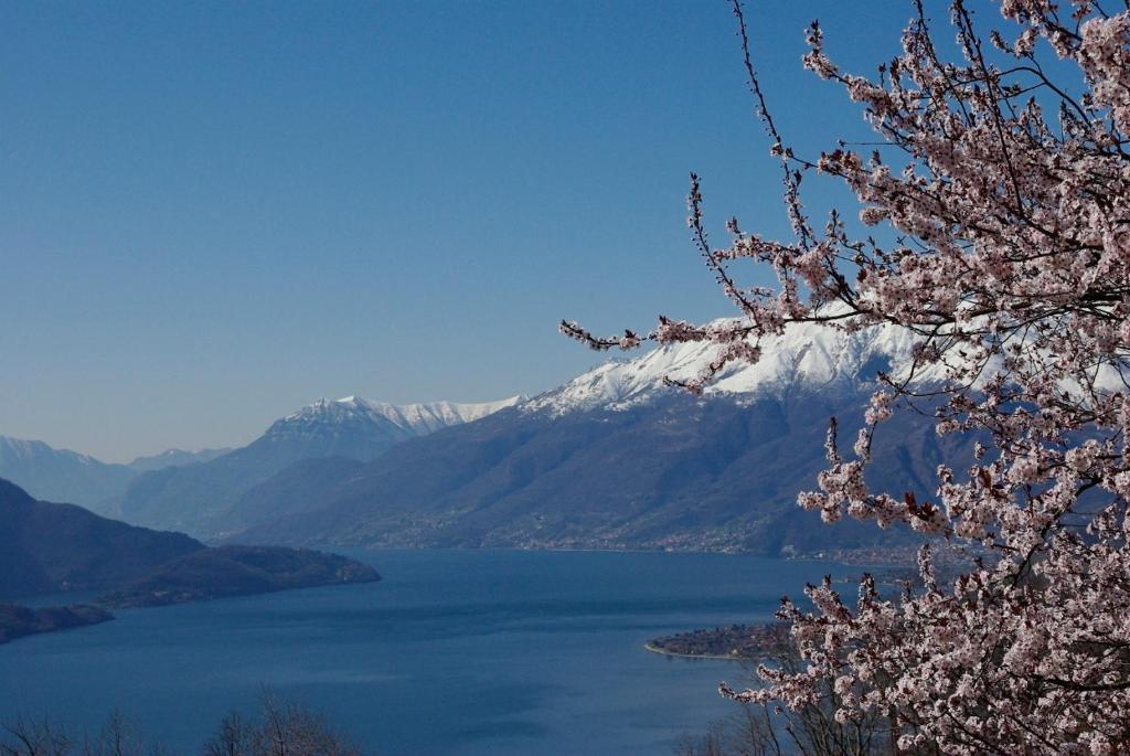 uma vista para um lago com uma montanha coberta de neve em Hotel Tamola em Sorico