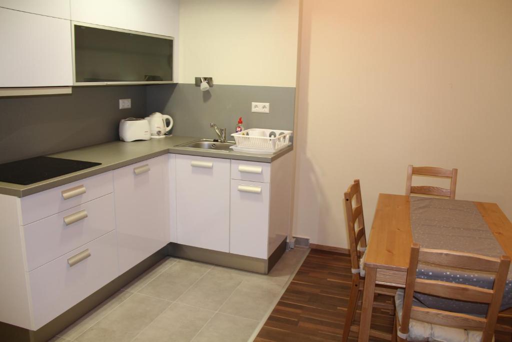 Kuchyň nebo kuchyňský kout v ubytování Velence Wellness Apartman