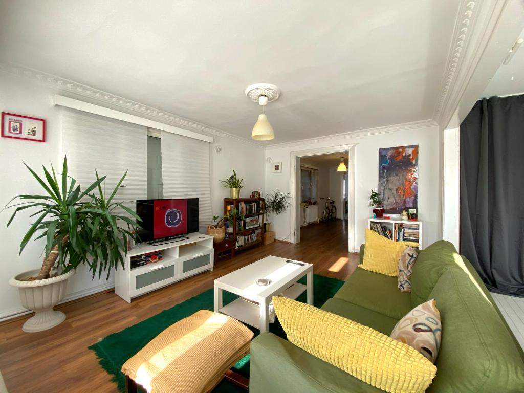 a living room with a green couch and a tv at Moda'da keyifli bir 1+1 daire in Istanbul