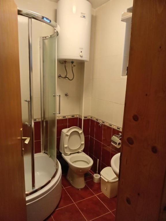 a bathroom with a toilet and a glass shower at Apartmani - Mesko vajat in Divčibare