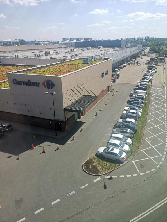 Magnolia Loft Apartments - 19