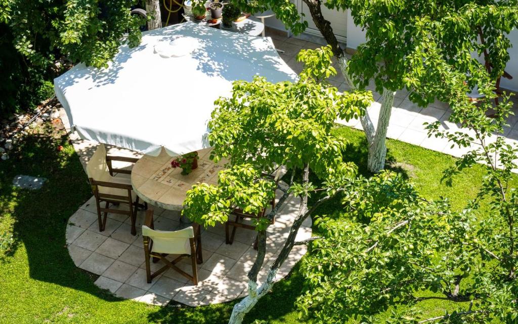 Zahrada ubytování Hotel Villa Anais