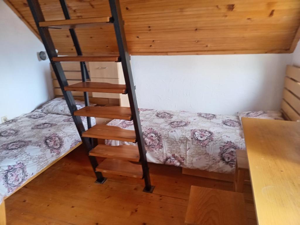 a bunk bed and a ladder in a room at Apartmani - Mesko vajat in Divčibare