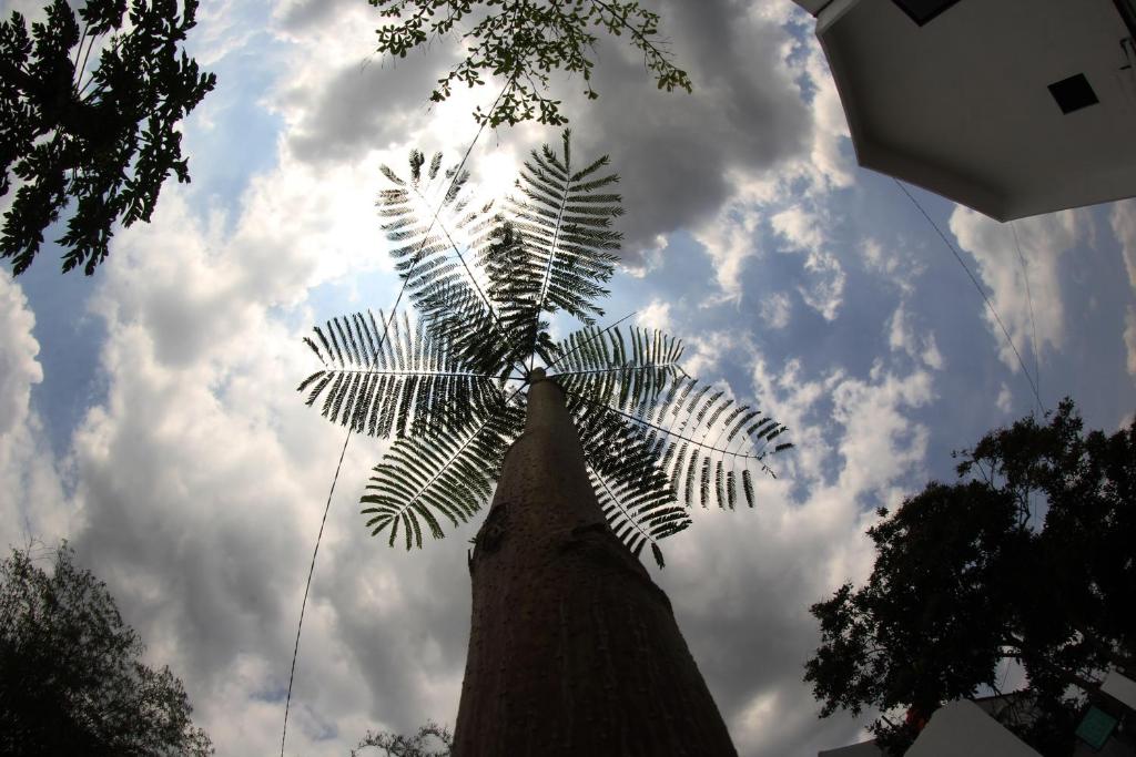 Gallery image of KLAB House - Guest House in Yogyakarta