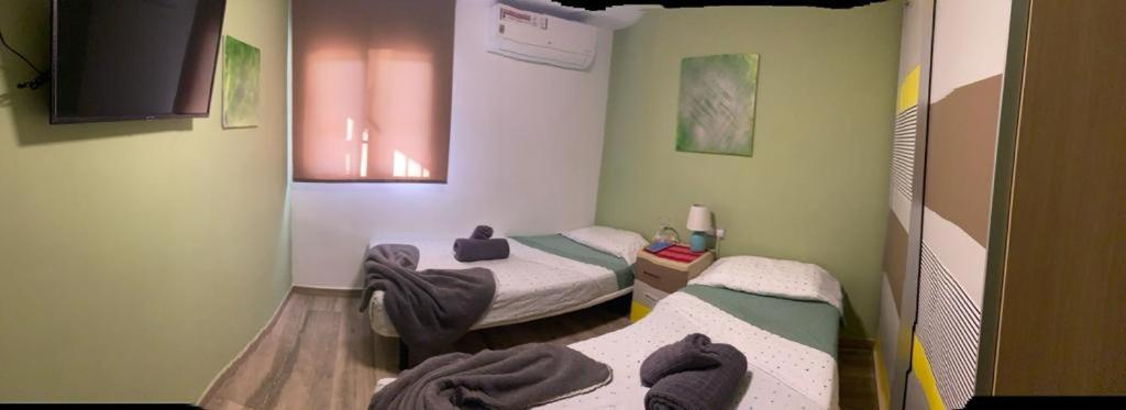 two twin beds in a room with green walls at Casa Hombre Blanco in Málaga