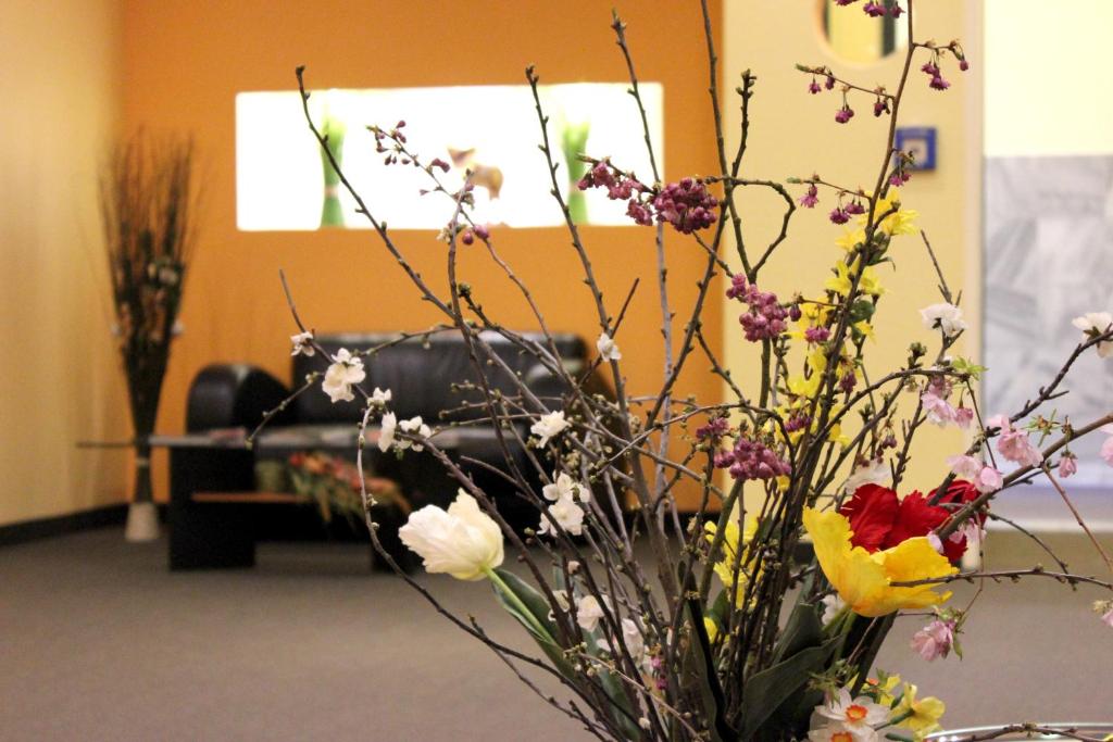 Cabo Nonsmoking-Hotel - Resim 39