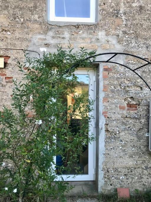 Zahrada ubytování Studio avec jardin