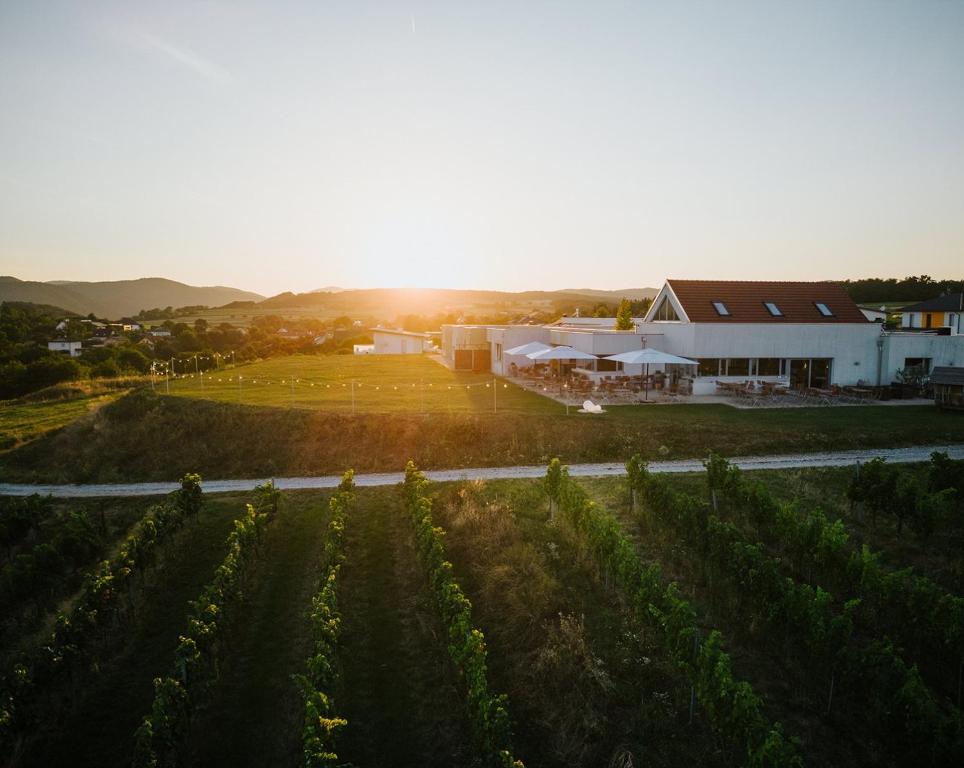 an aerial view of a farm with the sun setting in the background at WEINBLICK & WEINGUT Grafinger in Senftenberg