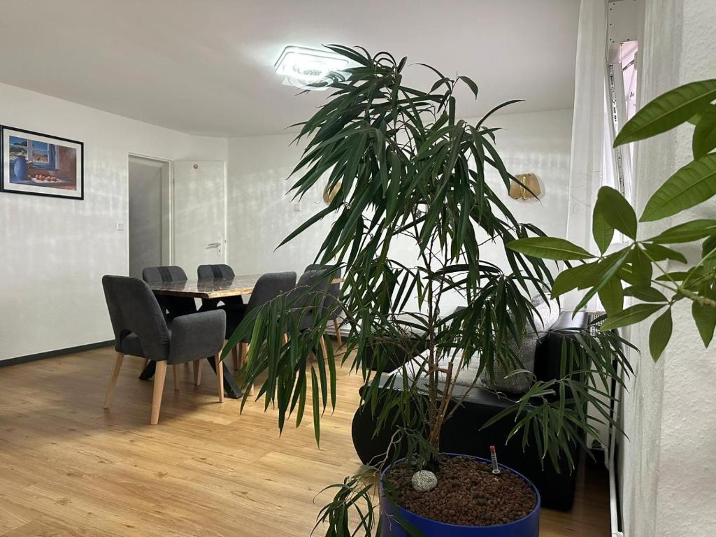 einen Tagungsraum mit einem Tisch und einer Topfpflanze in der Unterkunft Ferienhaus Formidable in Nidderau