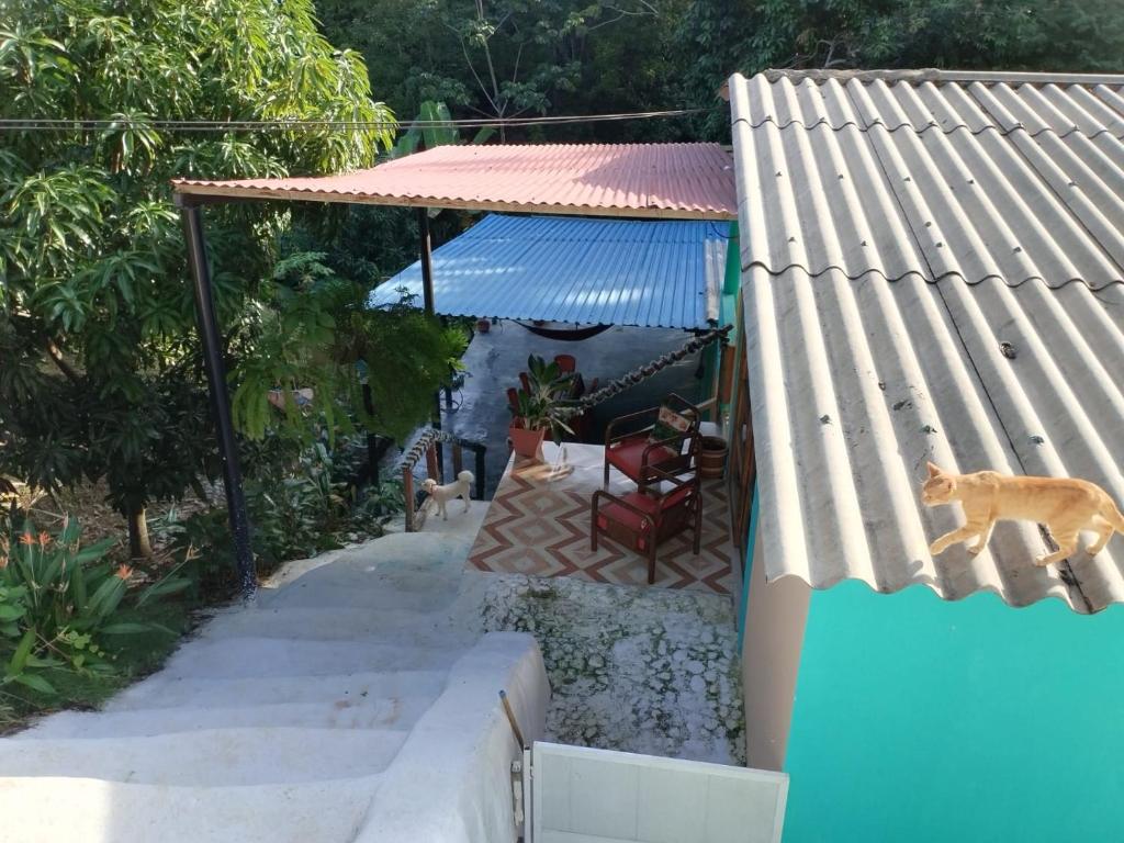 Ảnh trong thư viện ảnh của EcoHostal Tierra Prometida ở Santa Marta