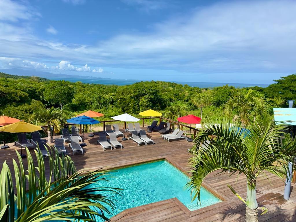 an outdoor swimming pool with chairs and umbrellas at Old Crow Hotel and Suites in Vieques