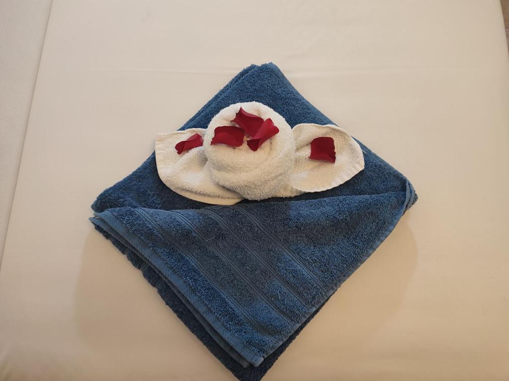 Villa Nina Adult only - 10