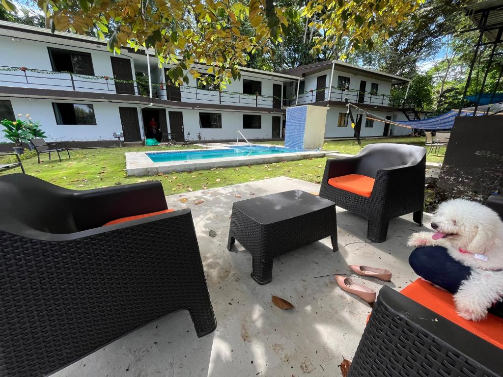 Swimmingpoolen hos eller tæt på Hotel Azul Coral