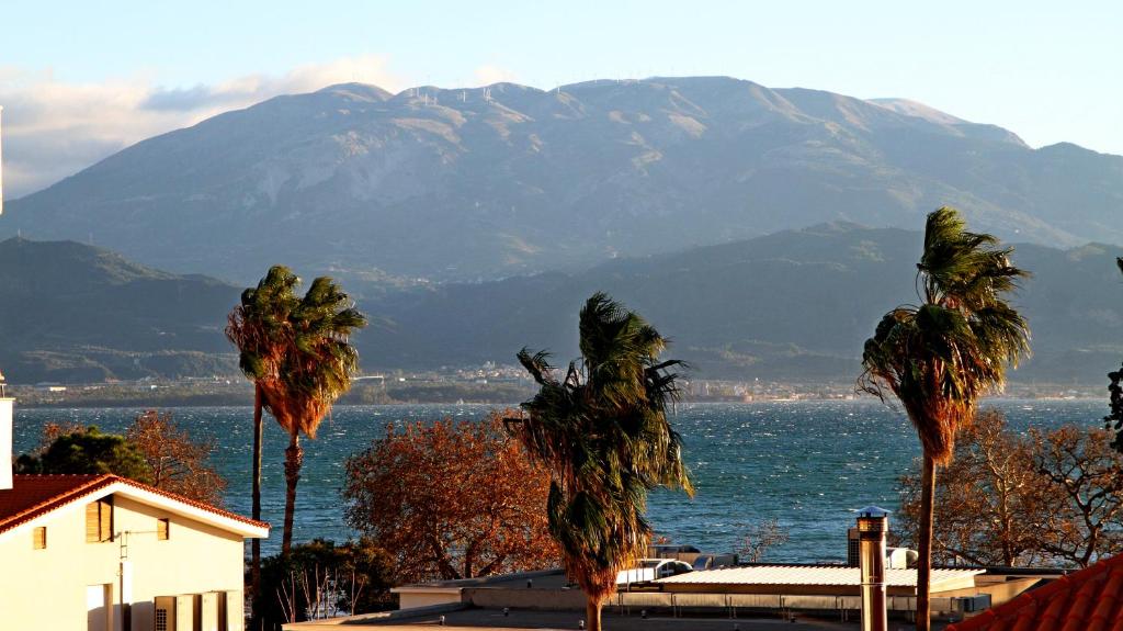 a group of palm trees in front of a mountain at my own way in Nafpaktos