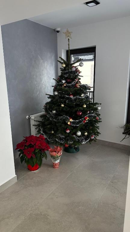 Fotografie z fotogalerie ubytování Casa Orhideea v destinaci Buşteni