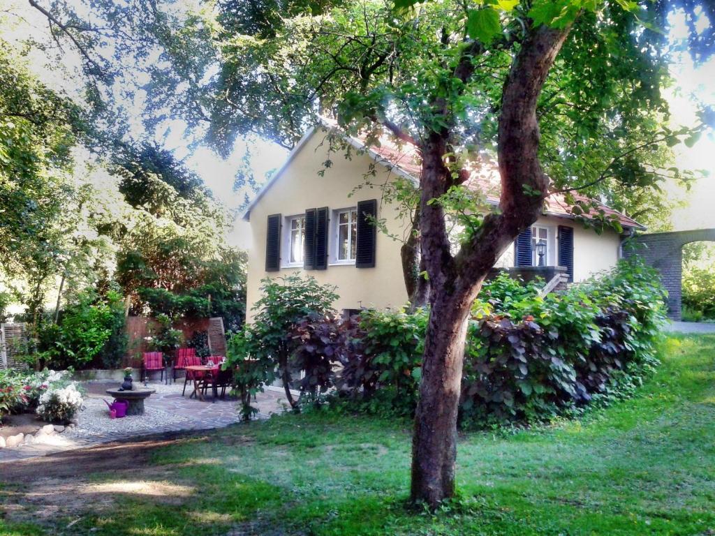 una casa con un albero nel cortile di HR Cottage am Honigbach a Coesfeld