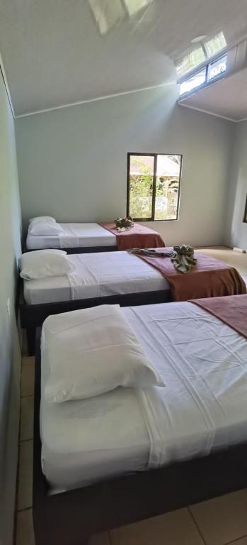 Cabinas Corcovado Green Parrot, Los Planes Drake