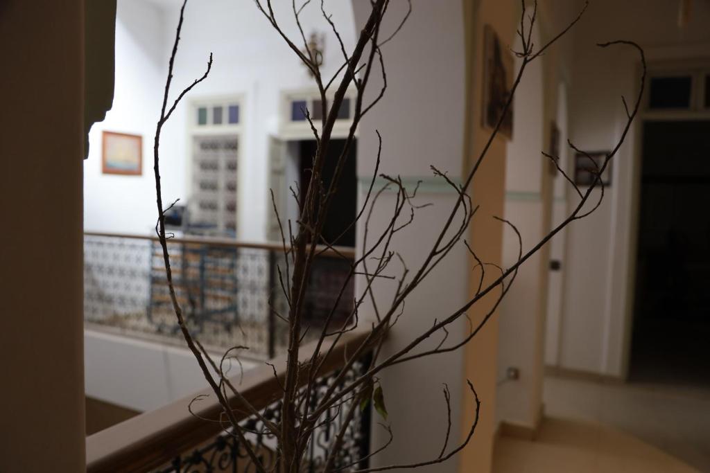 Fotografie z fotogalerie ubytování Riad La Rose Des Sables v Marrákéši