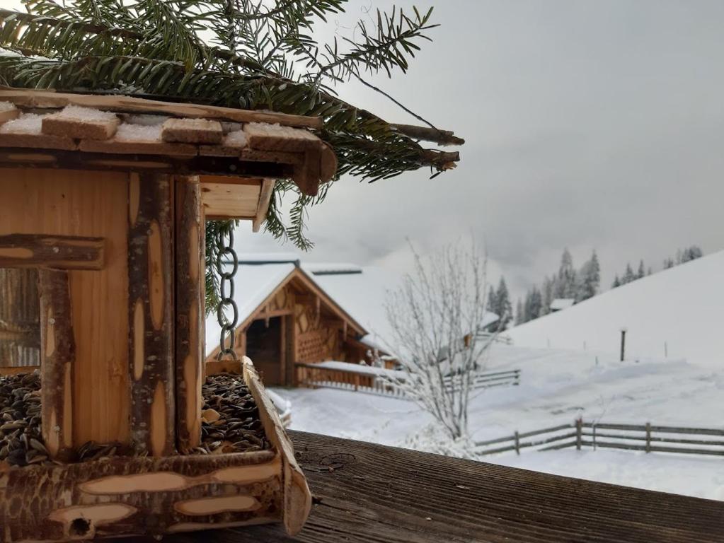 Bio Alpenhof Rostatt v zimě