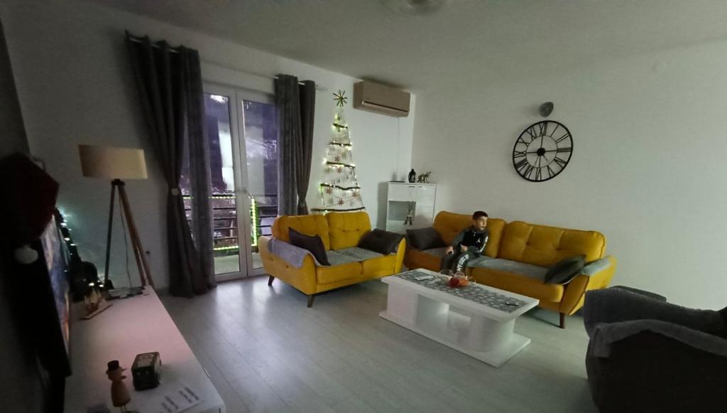 Posezení v ubytování Apartman Irvas Kolasin