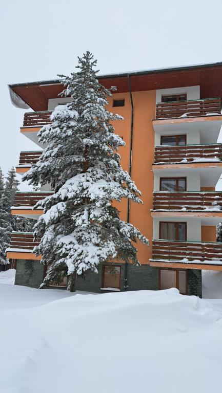Apartmán Pálenica II v zimě