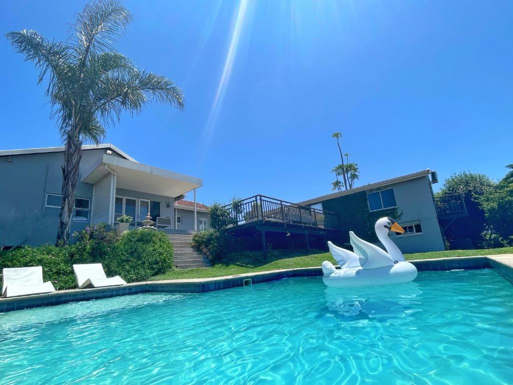 a swan in the water in a swimming pool at North Breeze Retreats in Durban