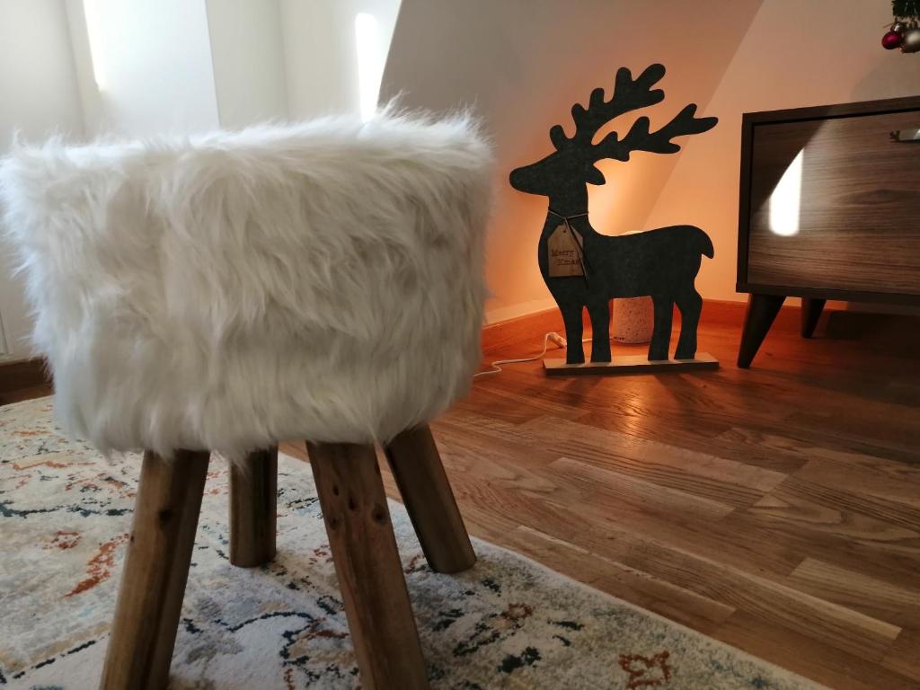 Zvířata v apartmánu nebo okolí