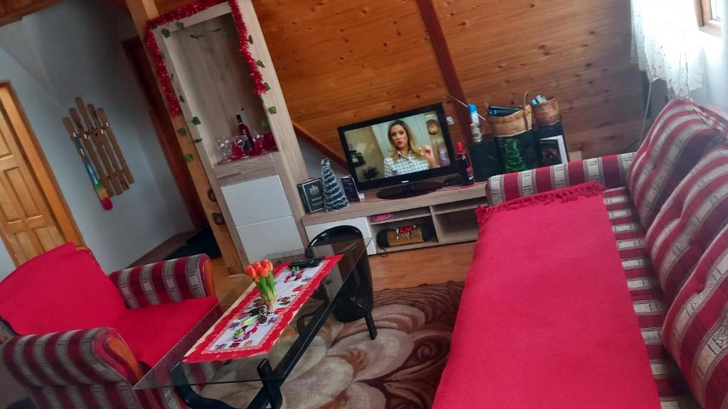 ein Wohnzimmer mit einem Sofa und einem TV in der Unterkunft Koliba Kika in Bajina Bašta