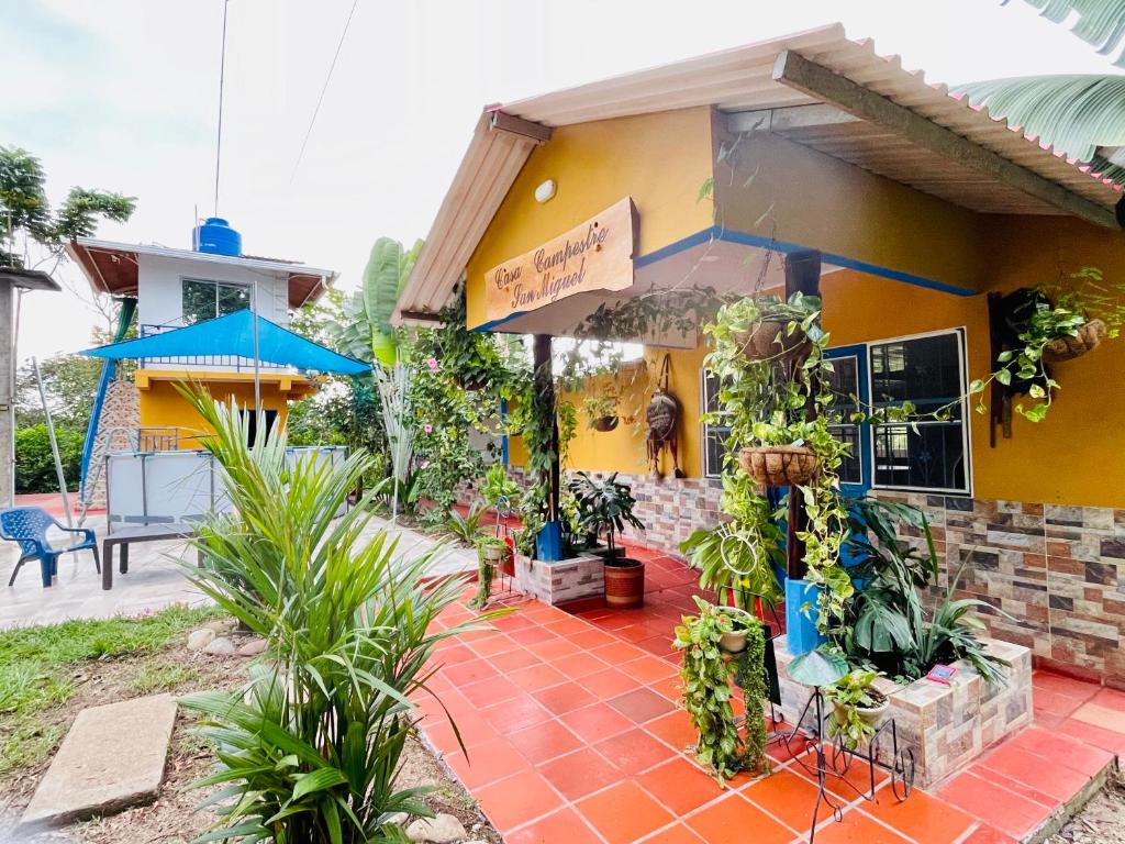 una casa con plantas delante de ella en Alojamiento campestre San Miguel, en San José del Guaviare