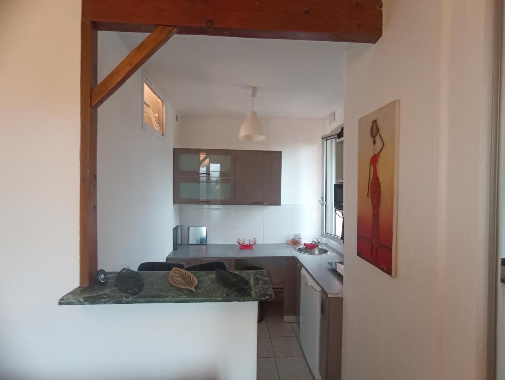 - une cuisine avec un évier et un comptoir dans l'établissement Grand studio cosy calme, à Clichy-sous-Bois