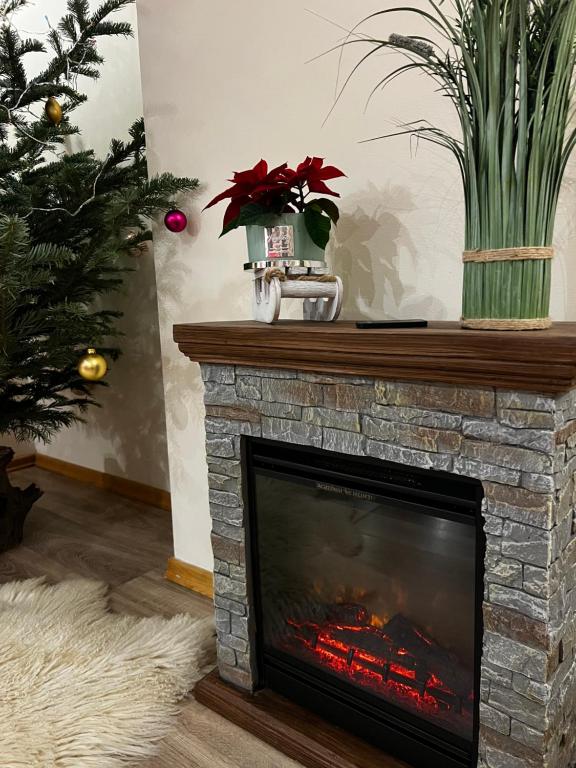 a living room with a fireplace with a christmas tree at Zyngierka in Bańska