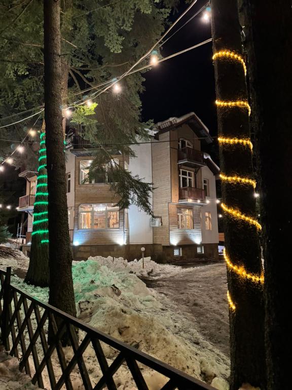 ボロヴェッツにあるThe Forest Villa Borovetsの灯りの家の前のクリスマスツリー