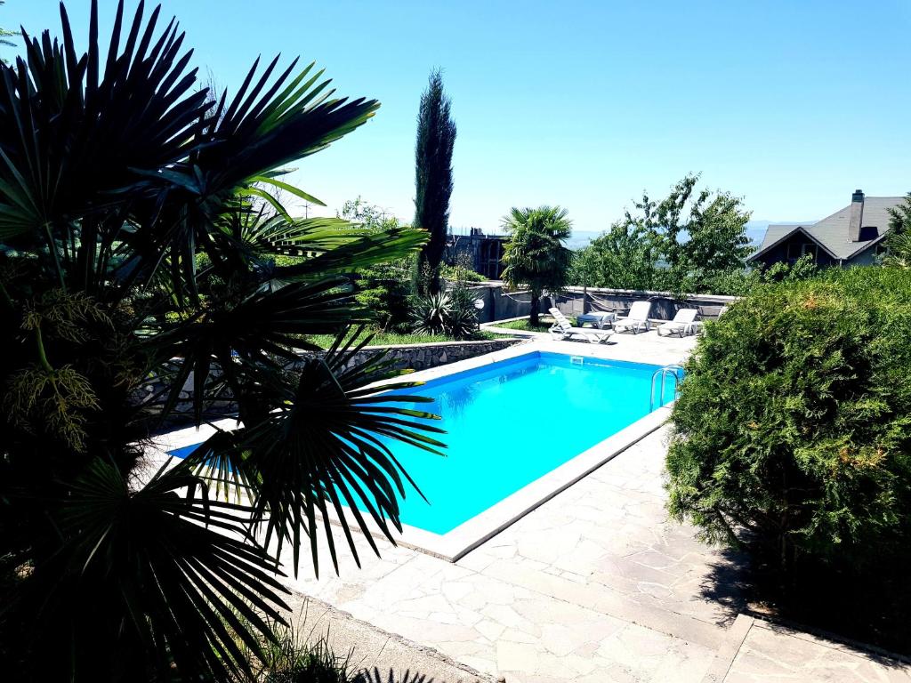 una piscina en un patio con una palmera en Villa Qeroli Saguramo en Saguramo