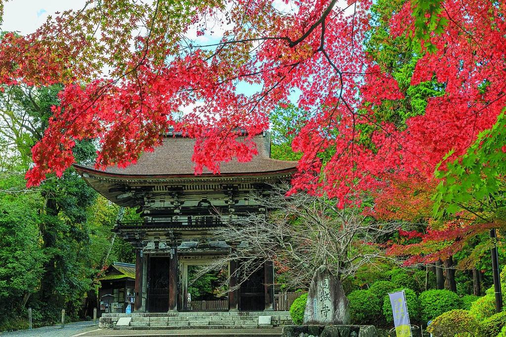 Zahrada ubytování Temple-stay WAQOO Mii-dera