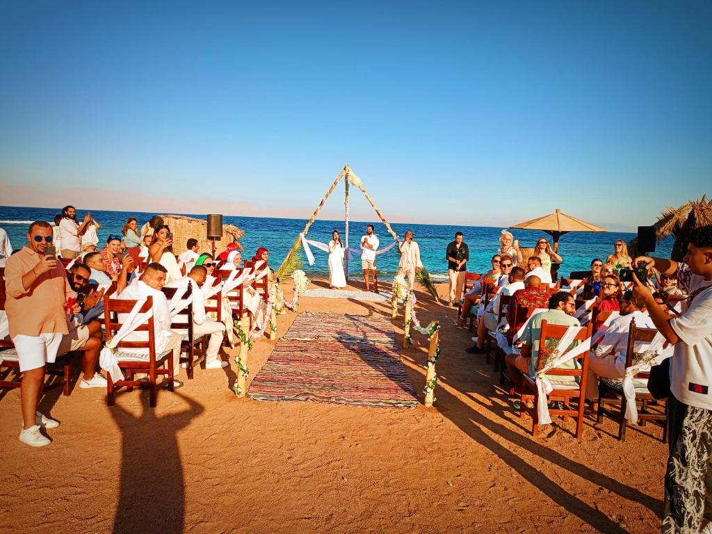 Daniela Diving Resort Dahab vendégei
