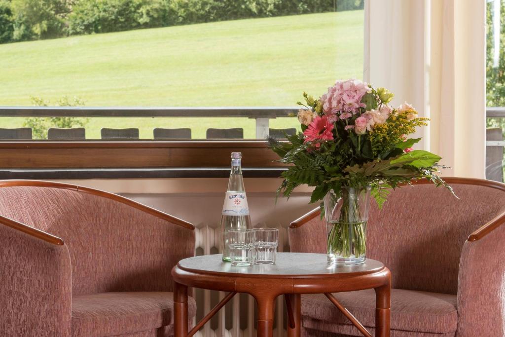 Zahrada ubytování Sauerland Alpin Hotel