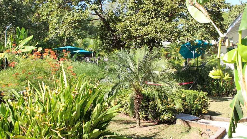Zahrada ubytování Tee-K Lodge Tamarindo