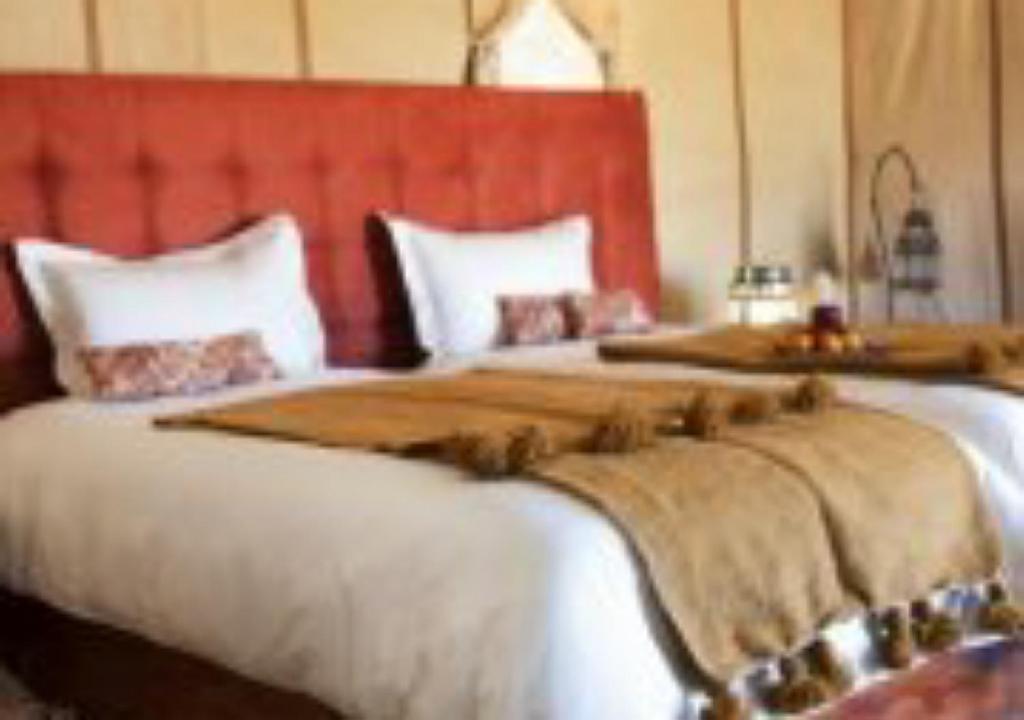 holiday luxury camp - Tent