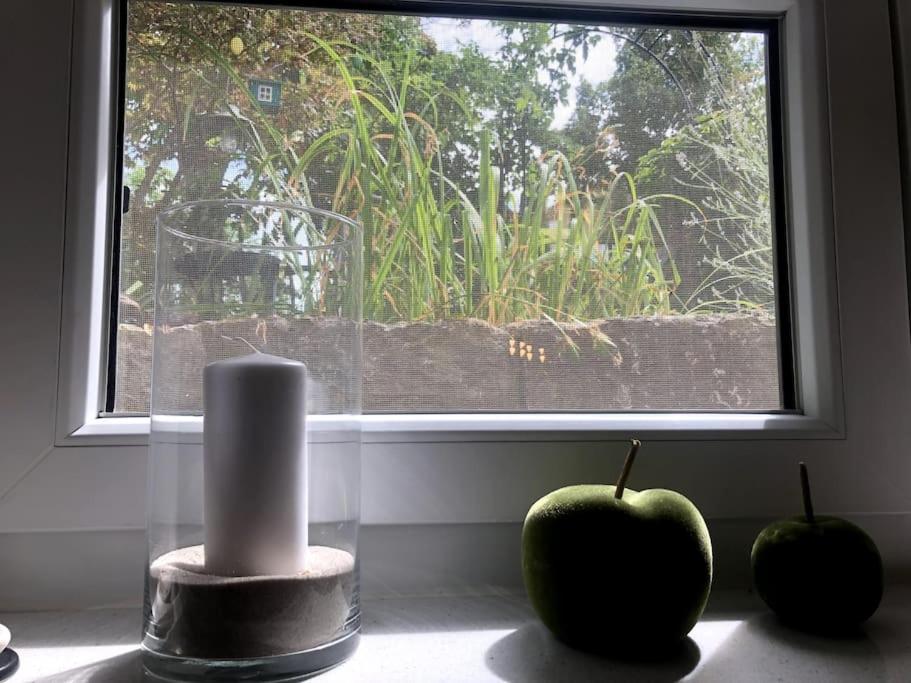 two apples and a candle in front of a window at Wohnung in gehobener Lage in Bruchsal