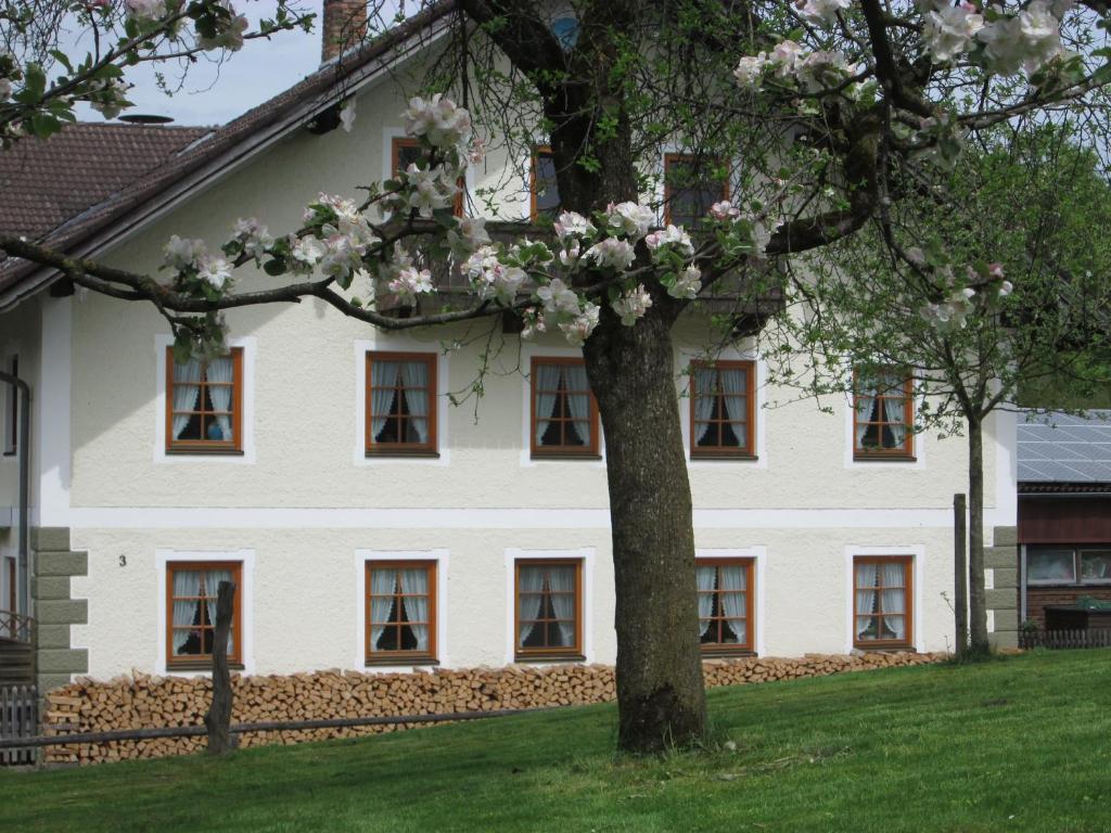 a white house with a tree in front of it at Moarhof Holzhausen in Holzhausen