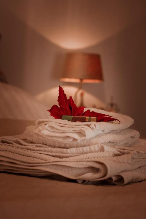 Postel nebo postele na pokoji v ubytování B&B t'Brocantje