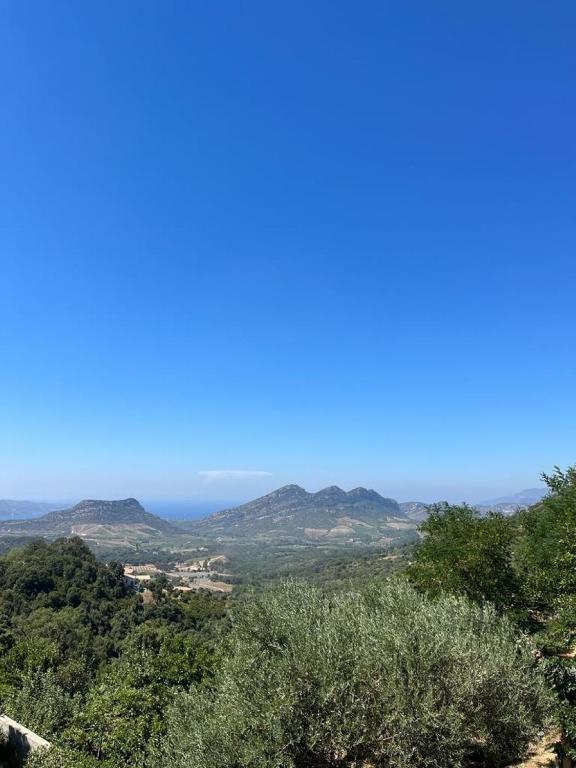 - une vue sur les montagnes depuis une colline arborée dans l'établissement Maison 4 Pers - Vue mer et vignoble exceptionnelle, à Poggio-dʼOletta