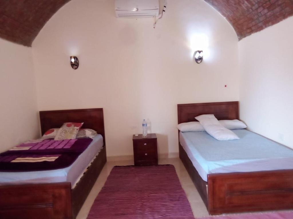 two beds in a room with two rugs at انتيكا كامب in Taba