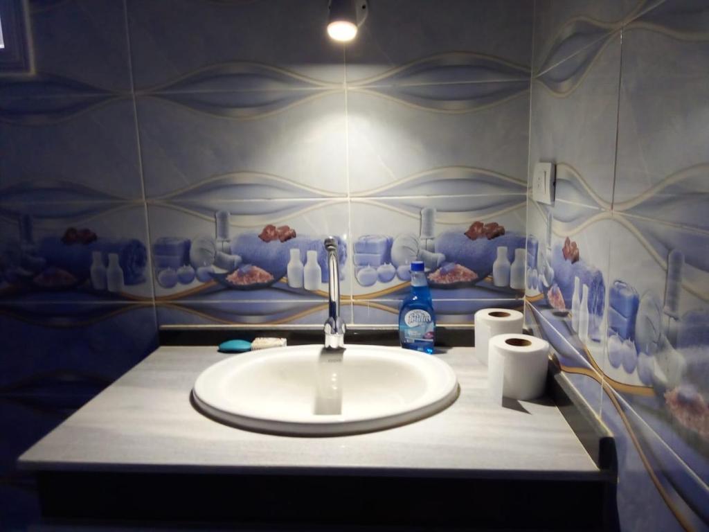 Imagen de la galería de انتيكا كامب, en Taba