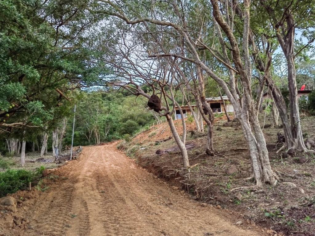 a dirt road with trees on the side of it at Papaturro House in La Cruz