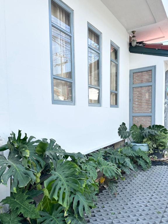 After-Grad Poshtel - Resim 8