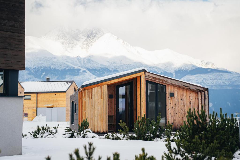 a wooden house with a mountain in the background at Alpine House, NATUR RESORT in Kežmarok