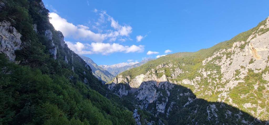 Příroda nedaleko apartmánu