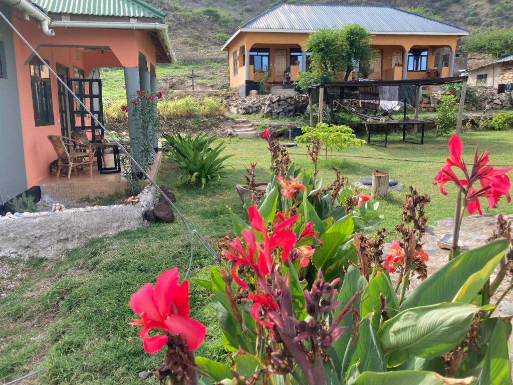 a house with red flowers in front of a yard at Lake Natron Maasai Guesthouse in Mtowabaga
